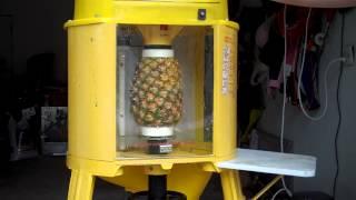 Del Monte Automatic Pineapple Peeler Corer Machine