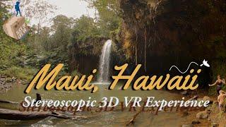 8k 3D Maui, Hawaii: Road to Hana + Black Sand Beach - Best Apple/Quest 3 Nature Travel VR Experience