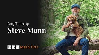 Introducing: Dog Training with Steve Mann – BBC Maestro