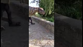 What did Ronnie see under the bridge? #dinomania