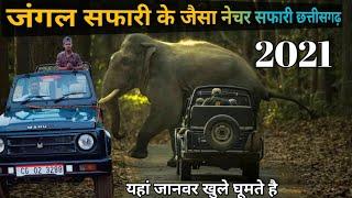 Nature safari mohrenga ।। mohrenga nature safari ।। jangal safari ।। Raipur city ।। safar Cg