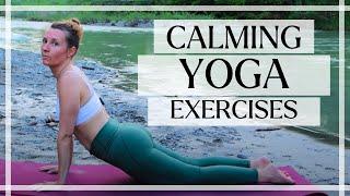 Calming Yoga Exercises For Anxiety and Stress I 15 Minute Easy and Calming Yoga Flow