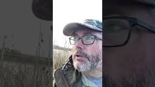 Yolo Bypass Wildlife area duck blind #9 November 2022