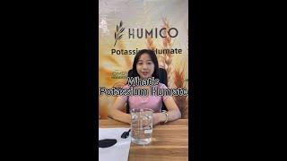 What's Potassium Humate - Features & Benefits | China Leading Organic Fertilizer Manufacturer HUMICO