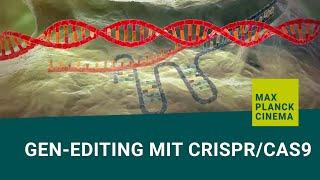 Gen-editing mit CRISPR/Cas9 (english subtitles)