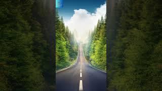 Wanderlust Vibes: The Travel Melody Playlist#music #travelling #song
