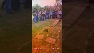 Ignite Fest 2024 , Iilm University, Greater Noida #iilm #university