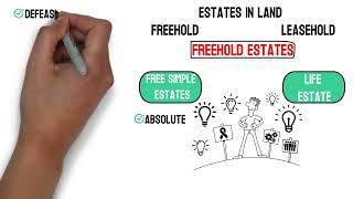 Estates in Land - Freehold Estate