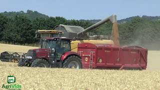 Wheat Harvest 2018. Will Higgins Contracting