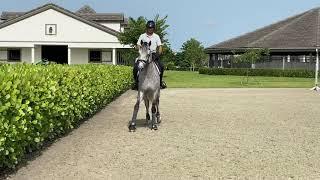 At Home with Glenbeigh Farm | Turn on the Haunches | Show Jumping Training Tips