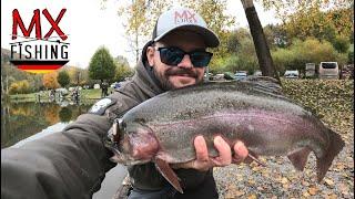 Kurz und knackig Lachsforellen/ Forellen fischen mit Kunstködern/ Trout Area