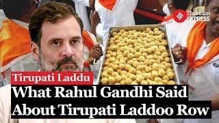 Tirupati Laddu Row: Rahul Gandhi Raises Concerns Over Tirupati Laddu Adulteration