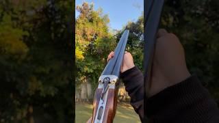 12 gauge side by side asmr #gun #nature