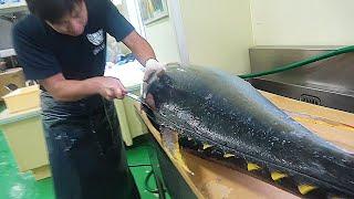 【職人技】気持ちよすぎる28kgマグロ捌き