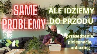 SAME PROBLEMY! Ale idziemy do przodu - ratowanie roślin i nietypowy unboxing paczki od Włodka