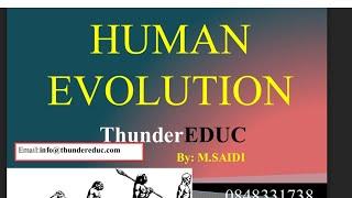 HUMAN EVOLUTION GRADE 12 LIFE SCIENCES [THUNDEREDUC] BY: B.SAIDI