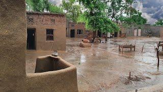 Heavy Rain In Punjab | Waking In The Rain | Village Life In Pakistan