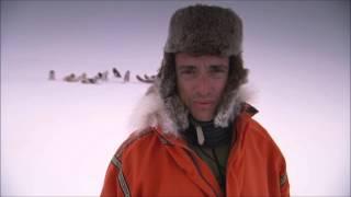 Top Gear Polar Special - The Problem with the Dogs