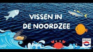 Vissen in de Noordzee