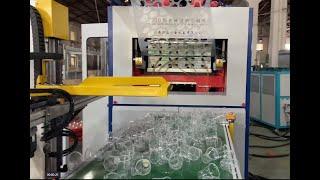 Disposable plastic cup making machine price for thermoforming juice water cup