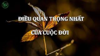 Lời hay ý đẹp | Điều quan trọng nhất của cuộc đời