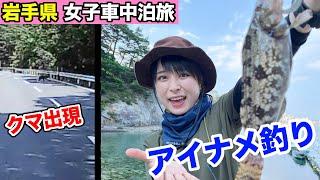 熊にも出会った岩手県旅、浄土ヶ浜で釣りしてみたら超苦戦！そして残念なことに…？【車中泊旅】