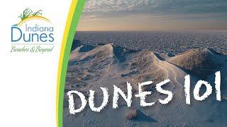 Interesting Things About the Indiana Dunes — Dunes 101: Did You Know? | Indiana Dunes