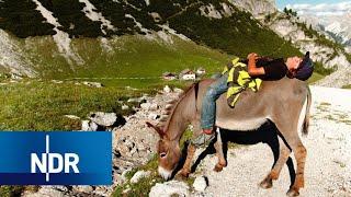 Auszeit in den Bergen - ohne Smartphone | 7 Tage... auf der Alm | Doku | NDR