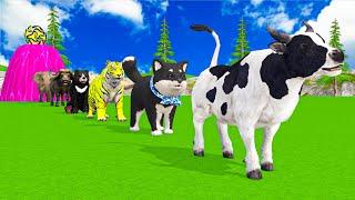 Paint & Animals Duck,Gorilla,Lion,Puppy,Tiger,Cow Fountain Crossing Transformation Animal Cartoon