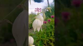 #그날 #김연숙 구독&좋아요 #스타일스타 #shorts
