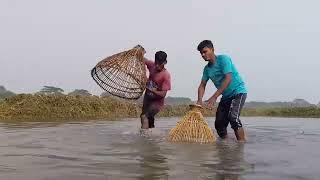 Village Ponds In Amazing Fish Catching | Amazing Polo Fishing | Mr Fun Box 175