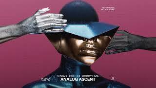 Vintage Culture, Roddy Lima - Analog Ascent