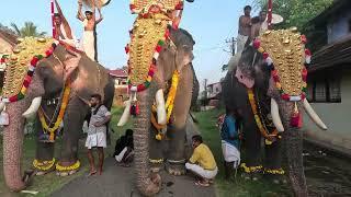 How beautiful elephants procession through the streets of Kunissery ayyappan vilakku