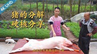 Chef Wang and his butcher uncle teaches u: How to butcher a whole pig, and each pork cut explained