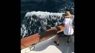 Seafishing Videos Seafishing moments Seafishing boat Fishing rod