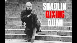 SHAOLIN QIXING QUAN 少林七星拳 TUTORIAL (PART 1)