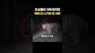 조상들이 어두워지면 밖에 안 나가려 한 이유