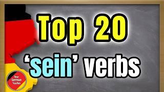 Top 20 Verbs with SEIN (to be) in German perfect tense