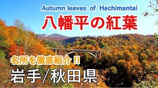 Autumn leaves of Mt. Hachimantai ( Iwate & Akita Prefecture ) / Spectacular Views of Japan