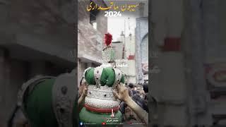 Sehwan Matamdari | 2024 