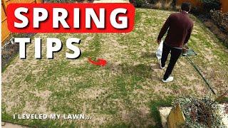 May Lawn Care Tips - Spring Grass Seeds Germinated?