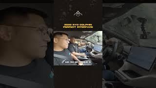 2022 BYD Dolphin: Perfect Interface #kingpandatv  #luxurycarsmanila  #carreview