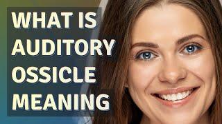 Auditory ossicle | meaning of Auditory ossicle