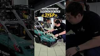 Аккумуляторная газонокосилка «Зубр»