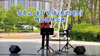 #정주고내가우네 트리퍼스 #백승근색소폰 I'm crying after giving my heart (Trippers) K-Trot playing tenor saxophone