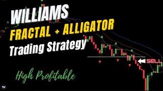 High Profitable Williams Fractal & Alligator Trading Strategy