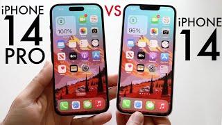 iPhone 14 Vs iPhone 14 Pro In 2025! (Comparison) (Review)