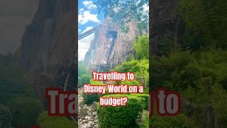 Travelling to Disney World on a budget? #disney #travelguide #traveling #travel #shorts