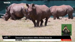 Tanzania introduces white rhinos from SA