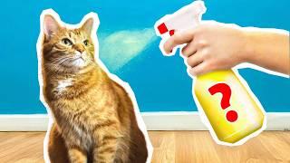 Testing Viral Cat Life Hacks You Won't Believe Are REAL!